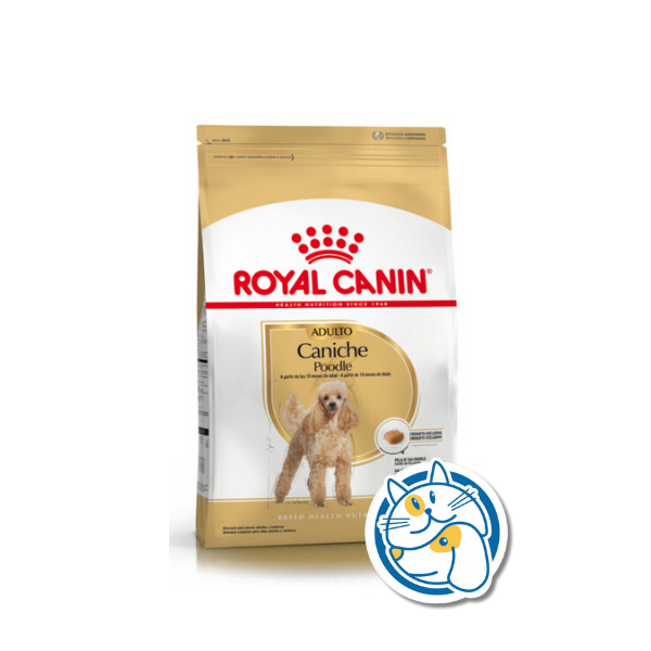 ROYAL CANIN CANICHE ADULT 1KG