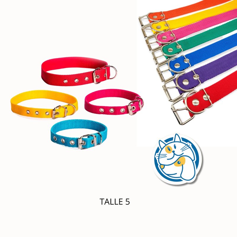 COLLAR POLIPROPILENO T5 ARGENPET