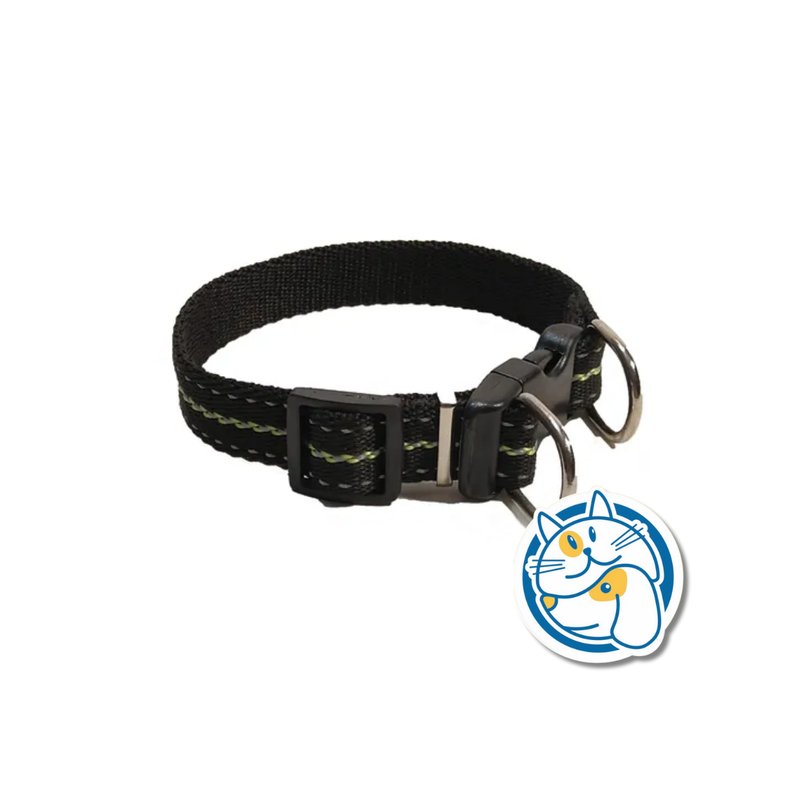 COLLAR AJUSTABLE REFRACTARIO PICHICHUS T4 ARGENPET