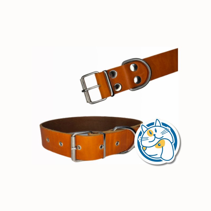 COLLAR DE CUERO P 40_3 SALTADOG