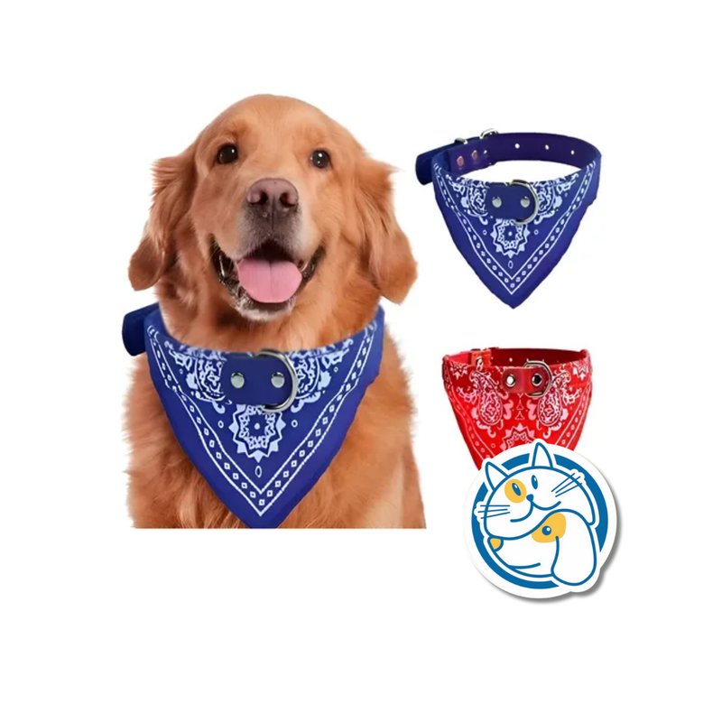 COLLAR DE CUERO BANDANA 2.0CM - 25249