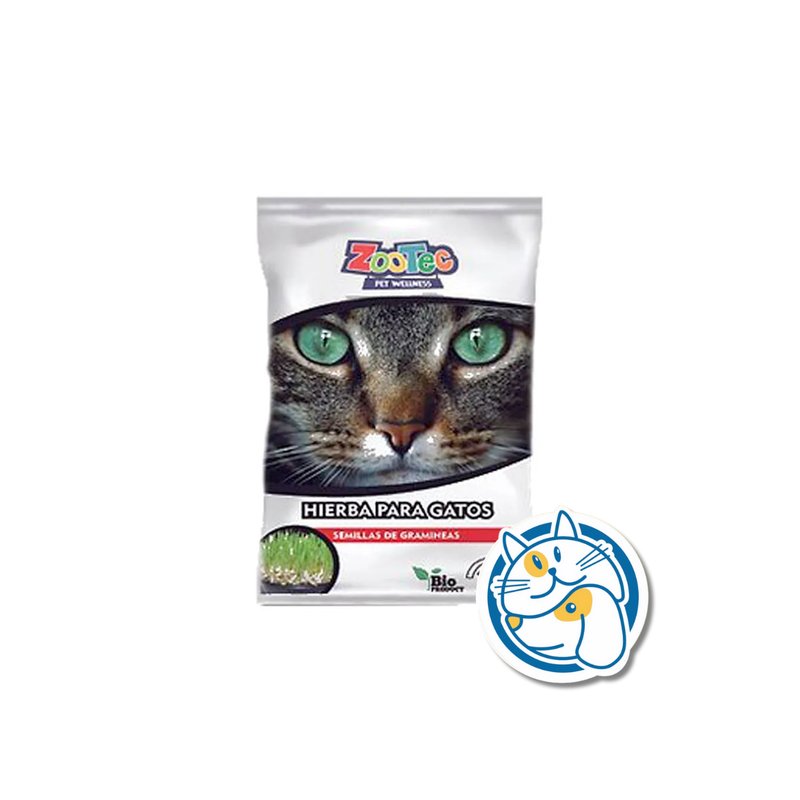 HIERBA GATO SOBRE