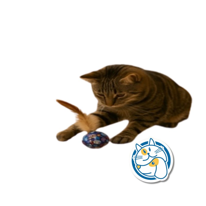 JUGUETE PELOTA DE TELA CON PLUMA 5*5CM