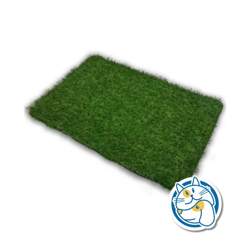 PPT REPUESTO CESPED MINI