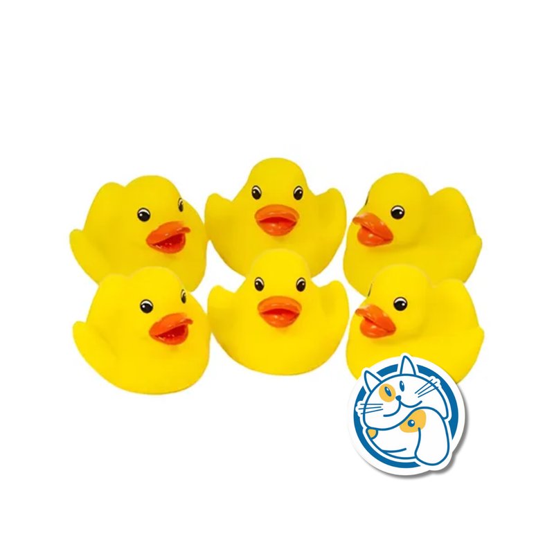 PACK PATITOS CON CHIFLE 4*4*3,2CM