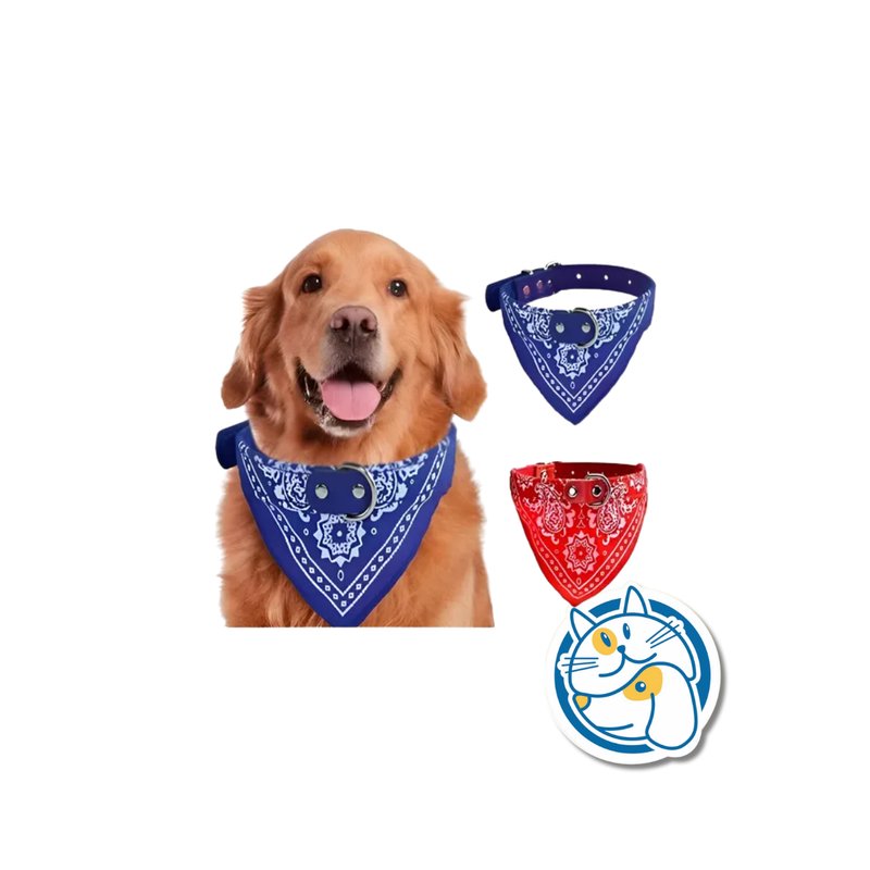 COLLAR CUERO BANDANA 25248