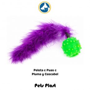 Pelota con Puas (PET PLAS)