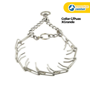 Collar c/ Puas XGRANDE 4.2MM (PER-ROS)