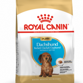 Royal Canin Dachshund Puppy